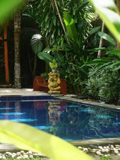 Pool-surround-by-green-RaCottage-Mandalika